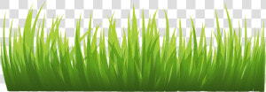 Grass Png Image  Green Grass Png Picture   Grass Png Background  Transparent Png