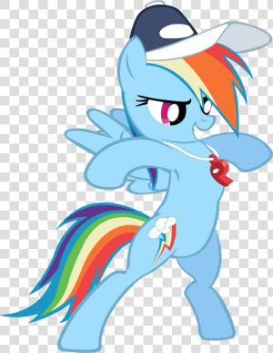 Rainbow Dash   Mlp Coach Rainbow Dash  HD Png Download