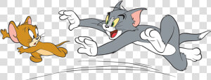 Tom And Jerry Tom Chasing Jerry  HD Png Download