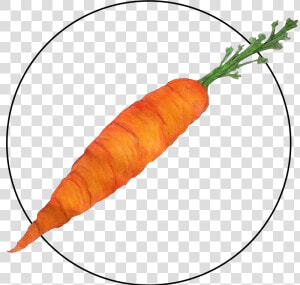 Attribute Motif Carrot  HD Png Download