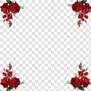  mq  red  roses  border  borders   Feliz Dias Delas Madres Esposa  HD Png Download