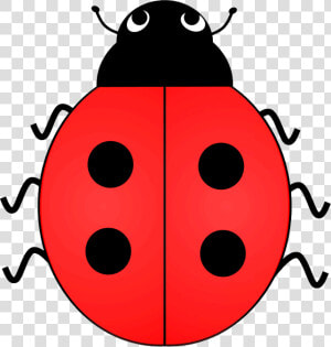 Lady Bird Clipart Clipart Collection U00ba Clipart   Ladybird With 2 Spots  HD Png Download