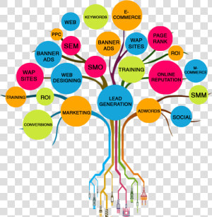 Social Media Networking   Social Media Marketing Tree  HD Png Download