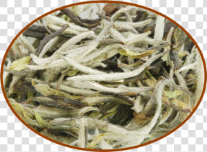 Bai Mu Dan White Tea  HD Png Download