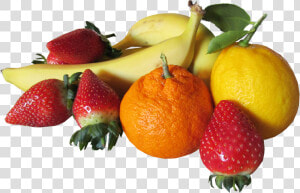 Fruit  Mixed  Cut  Out   Cut Out Of Fruit  HD Png Download