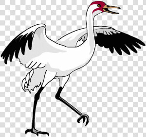 Bird Crane Clipart Transparent Png   Waterfowl  Png Download