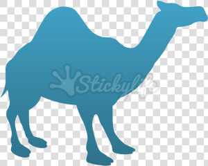 Camel Temporary Tattoo   Arabian Camel  HD Png Download