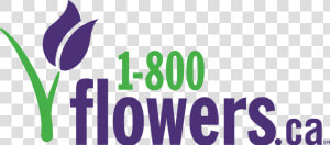 1 800 Flowers Canada Coupon Codes   1800flowers Canada Logo  HD Png Download