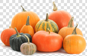 Pumpkin Patch Png   Pumpkin Png  Transparent Png