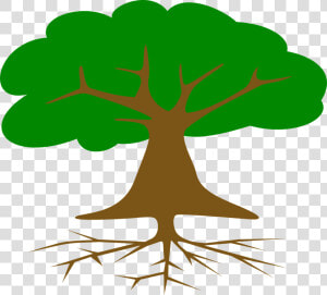 Roots Of American Democracy Tree  HD Png Download