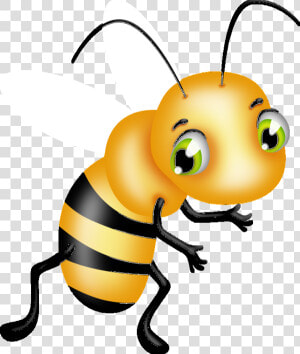 Honeybee  HD Png Download