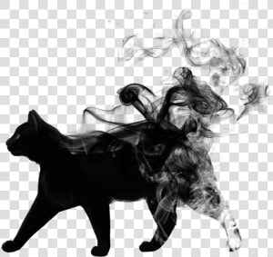  blackandwhite  cat  animal  black  smoke   Picsart Smoke Black Png  Transparent Png