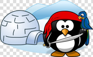 Pirate  Tux  Animal  Bird  Cold  Ice  Igloo  Parrot   Penguin And Igloo Cartoon  HD Png Download