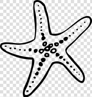 Francis Len Oasis Wedding   Starfish Doodle Png  Transparent Png