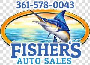 Marlin Clipart Sailfish   Fishers Auto Victoria Texas  HD Png Download