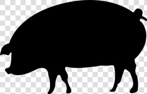 Suidae   Pork Icon Png  Transparent Png