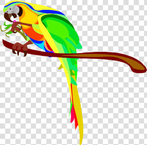 Macaw Parrot Clip Art Clipart Free Clipart   Australian Parrots Clipart  HD Png Download