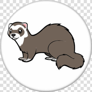 Transparent Weasel Png   Cartoonize My Pet Ferret  Png Download