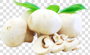 Free Png Fresh Mushrooms Png Images Transparent   Fresh Mushroom Png  Png Download