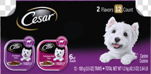 Cesar® Filet Mignon  amp  Porterhouse Steak Flavors 12ct   Wet Cesar Dog Food  HD Png Download