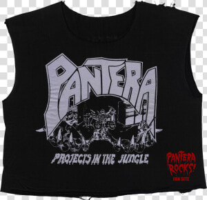 Picture   Pantera Metal Magic  HD Png Download