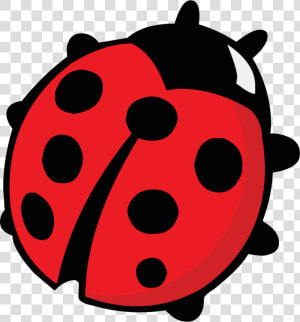 Some States Have The Ladybug As Its Offical Bug   Coloring Pages Of Lady Bird  HD Png Download