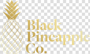 Black Pineapple Co   Pineapple Png Black Gold  Transparent Png