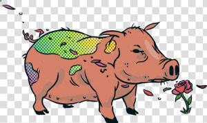 Jarrybriefs Vegan Pig   Domestic Pig  HD Png Download