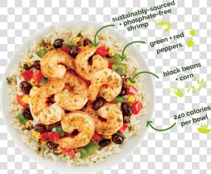 Transparent Shrimp Clipart Black And White   Cilantro Lime Shrimp Bowl Costco  HD Png Download