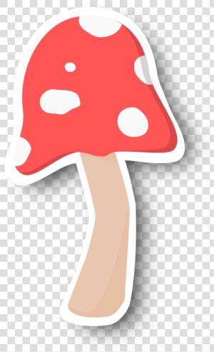 This Png File Is About Toadstool   Cut Out   Shroom   Shiitake  Transparent Png