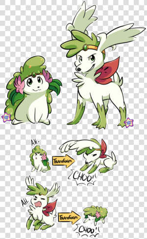 Shaymin Transformation  HD Png Download