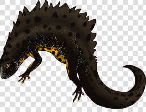 Great Crested Newt By Robyn Womack   Alligator Lizard  HD Png Download