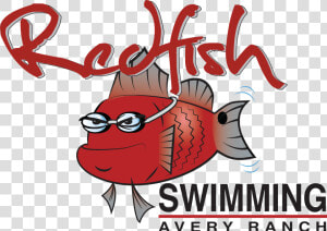 Redfish Swimming Logo   Cartoon  HD Png Download