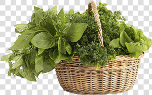 Herb   Herb Basket Png  Transparent Png