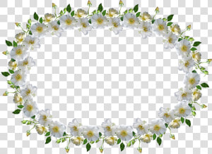 Frame  Border  White Rose  Floral   Bingkai Bunga Mawar Putih  HD Png Download