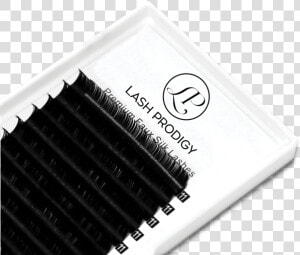 Eyelash Extensions  HD Png Download