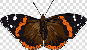 Red Admiral Butterfly Illustrated One Illustration   Red Admiral Butterfly Clipart  HD Png Download