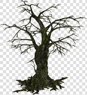 Creepy Tree   Transparent Creepy Tree Png  Png Download