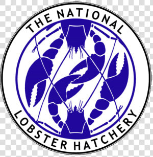 National Lobster Hatchery Logo  HD Png Download