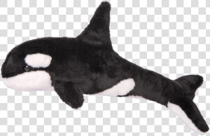 Orca Plushie Png  Transparent Png