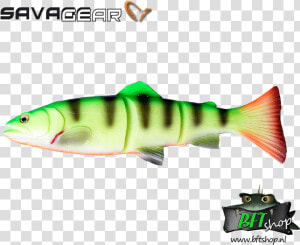 Savage Gear 3d Line thru Trout   Savage Gear Line Thru Brown Trout  HD Png Download