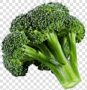 Green Broccoli Png Background   Broccoli Png  Transparent Png