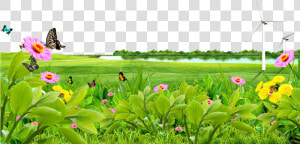 Meadow Lawn Wallpaper Lake   Nature Background Png Hd  Transparent Png