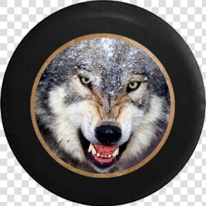 Growling American Grey White Lone Wolf Rv Camper Spare   Ulug Bek Baxshi Qo Shiqlari  HD Png Download