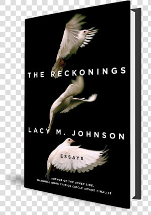 Reckonings By Lacy M Johnson  HD Png Download