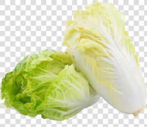 Chinese Cabbage Png   Png Download   Chinese Cabbage Png  Transparent Png