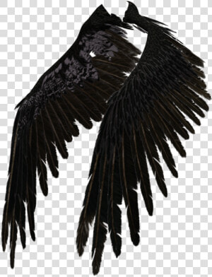 Transparent Eagle Wings Spread Clipart Black And White   Black Angel Wings Png  Png Download