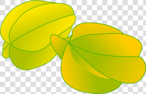 Star Fruit 9 Health Benefits And Nutrition Facts   Star Fruit Clipart Png  Transparent Png