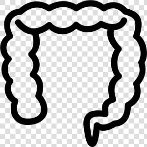 The Image Looks Like A Long Deflated Balloon That Is   Large Intestine  HD Png Download