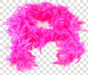 Feather Boa Png High quality Image   Feather Boa Transparent  Png Download